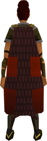 File:Team-43 cape equipped.png