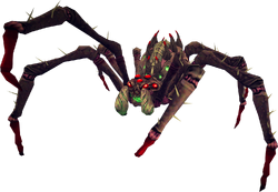Araxxor