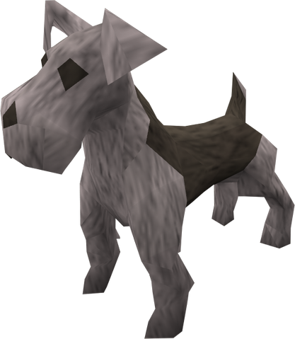 File:Terrier puppy (grey) pet.png