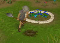 FallyParkpics1.png