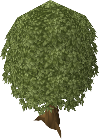 File:Oak tree old.png