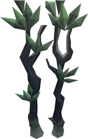 File:Blood spindle tree.png