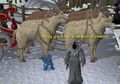 Thumbnail for version as of 18:42, December 22, 2009