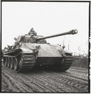 German panther tank