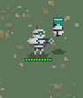 Probe