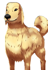 Dog RH