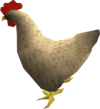 Pilt:100px-Chicken.PNG