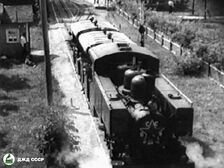 Gomel04