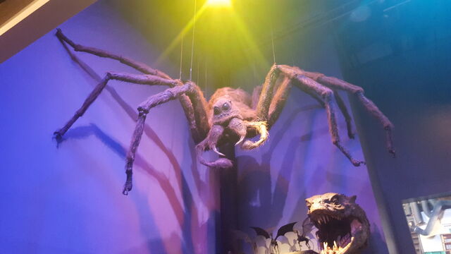 File:Aragog.jpg