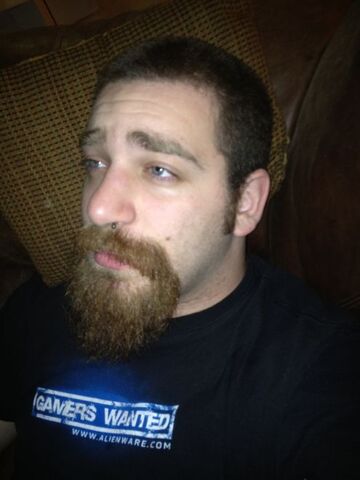 File:Adamellis.jpg