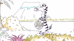 Miss Zebra