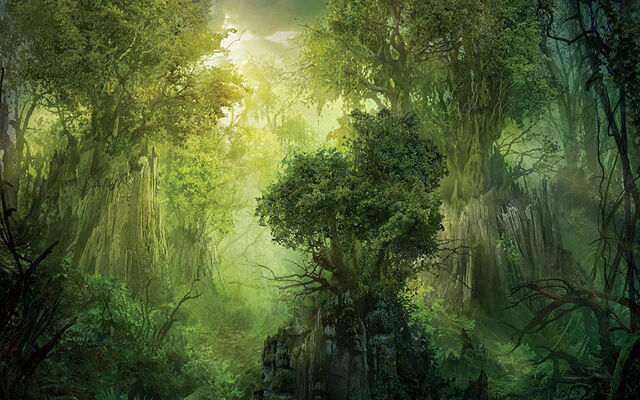 File:FerayoForest.jpg