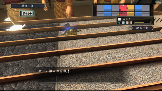 File:Turtle race 001.png