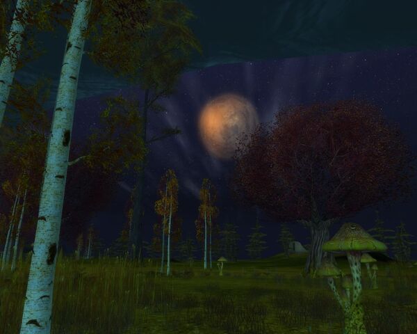 File:Forestnight.jpg