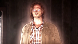 SPN29.png