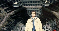 Wings-0.gif