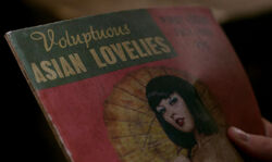 Voluptuous Asian Lovelies.jpg
