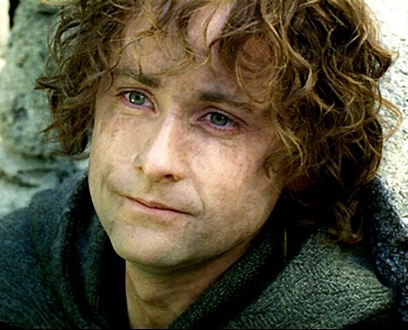 File:2238536-pippin sad 2.jpg