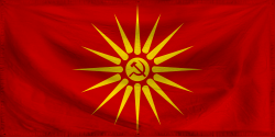 File:Nsfflag.png