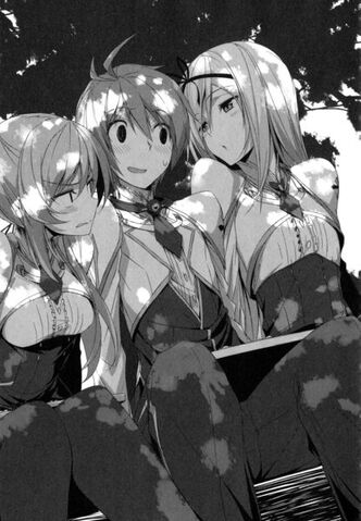 File:Volume 3 Illustration 6.jpg