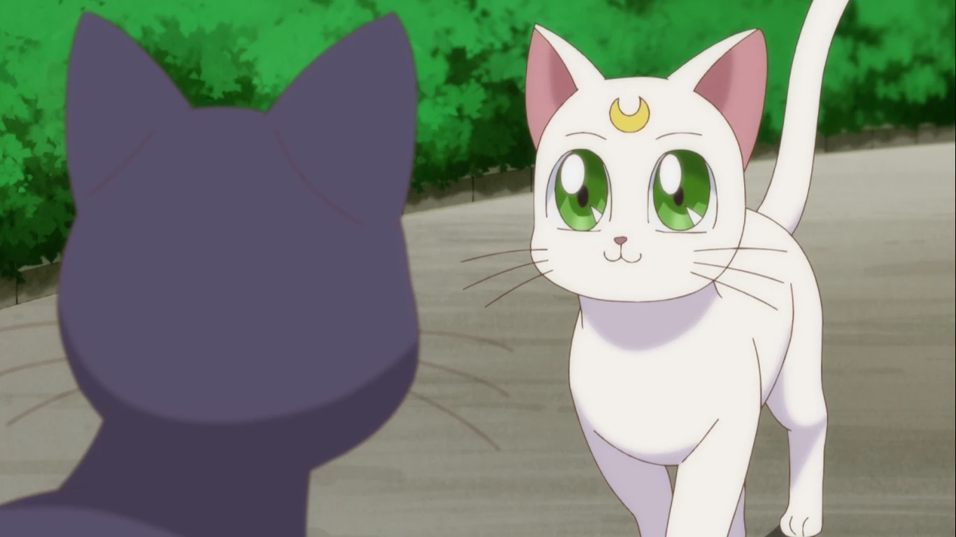 sailor moon luna artemis