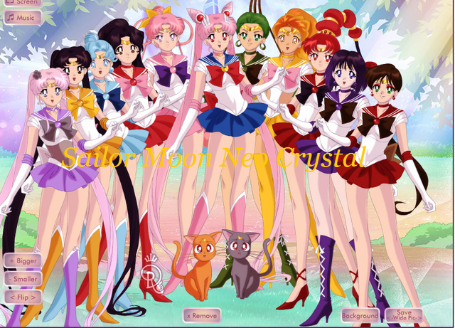File:Sailor Moon N.png