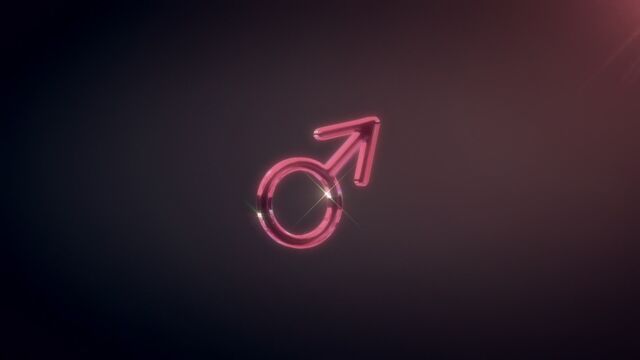 File:Moon Pride14.jpg