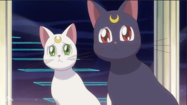 File:Tumblr necxqtAzNS1tq6mmwo10 1280.jpg