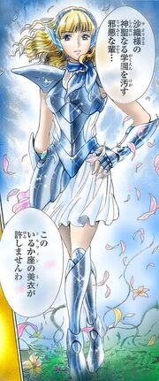 Delphinus Mii
