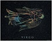 Virg.jpg