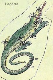 LACERDA