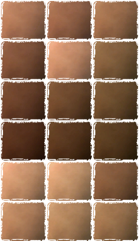 File:Cust pcr skin.png