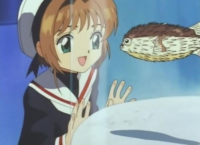 Archivo:Sakura pez.jpg