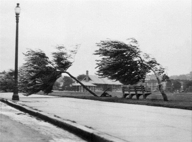 File:1938.jpg