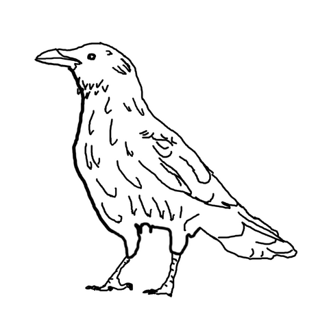 File:Roc.png
