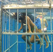Waterborne Cage