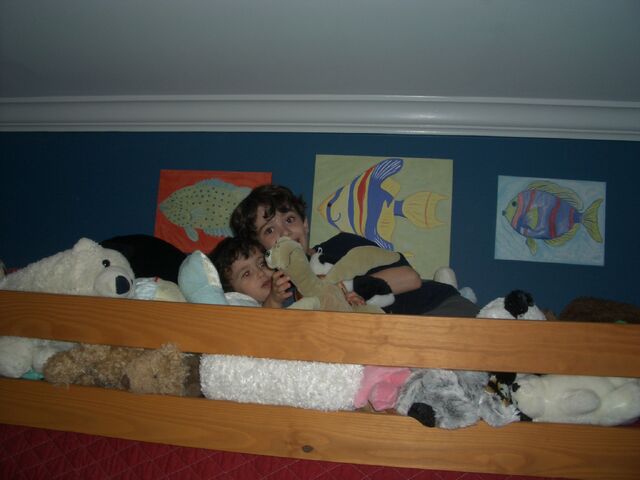 File:Top Bunk.jpg