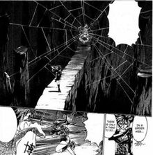 Mahiro spider web