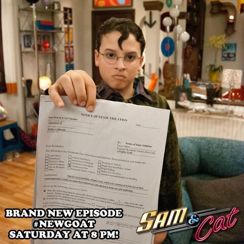 Archivo:Sam-and-Cat-NewGoatPro.jpg