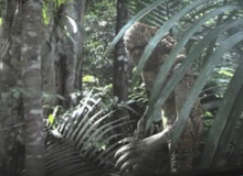 Cillobar