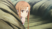Asuna profuga.png