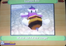 Eggplant Bee