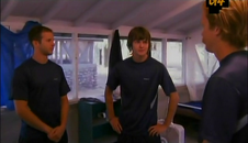 Blue Monkeys