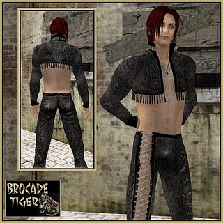 File:Bolero Black Snake.jpg