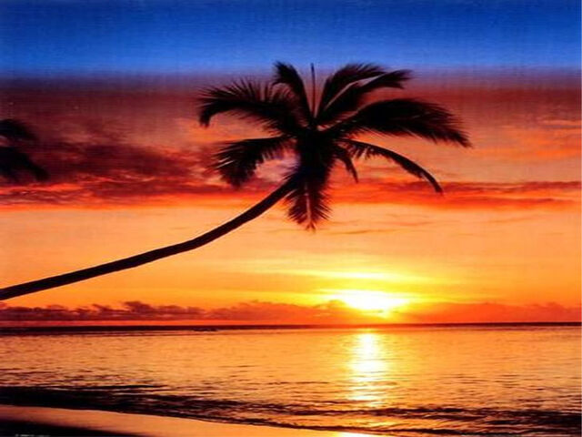 File:Sunset.jpg