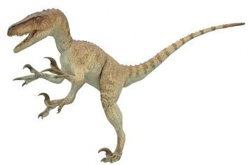 Utahraptor020