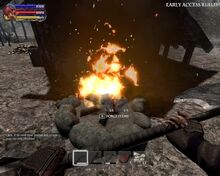 Burning campfire