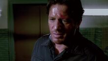 Mark Hoffman.jpg