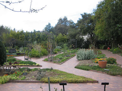 Kitchen Garden