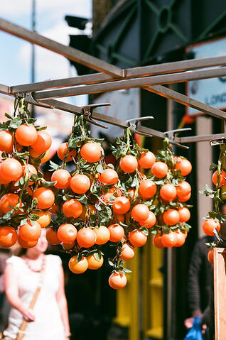 File:Orange plastic oranges.jpg